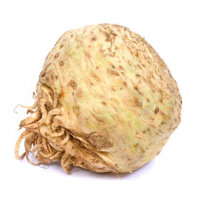 Šakniniai salierai 