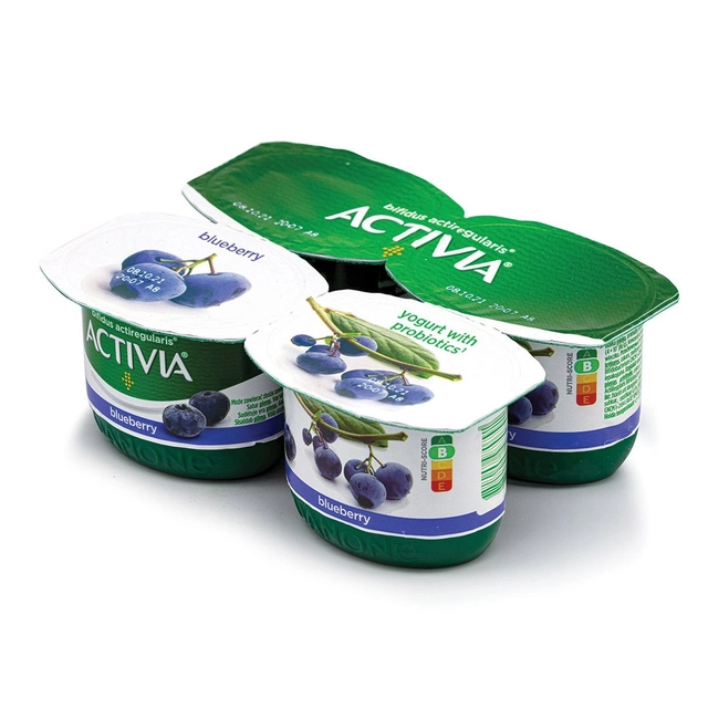Jogurtas su mėlynėmis ACTIVIA, 2,6% rieb., 480 g
