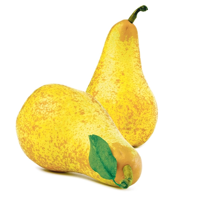 Pears ABATE