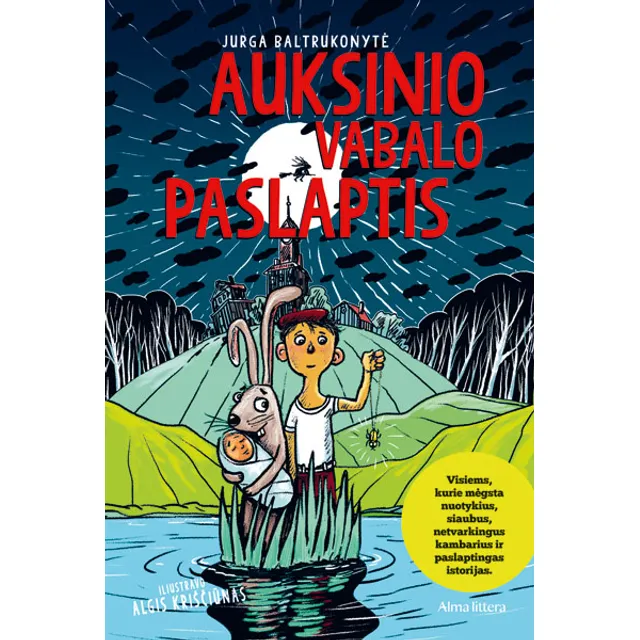 Knyga AUKSINIO VABALO PASLAPTIS