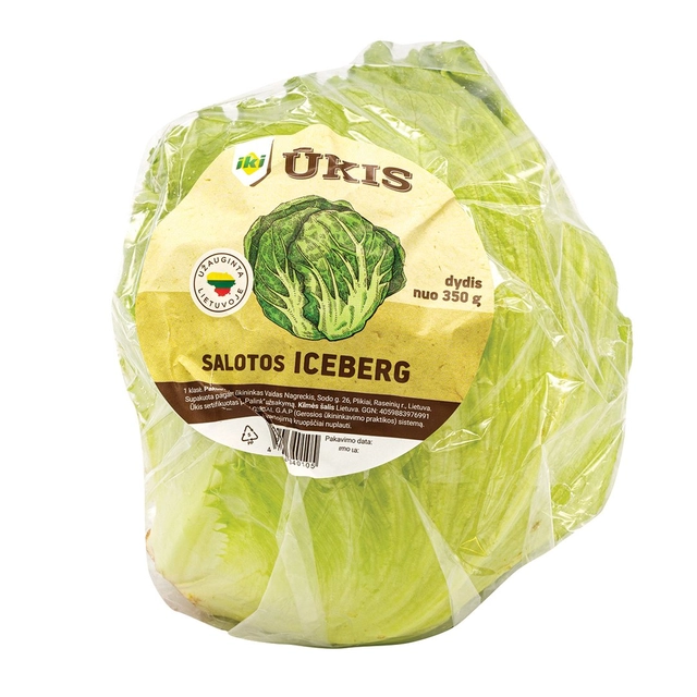 Salotos ICEBERG IKI ŪKIS