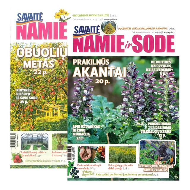 Žurnalas SAVAITĖ NAMIE IR SODE