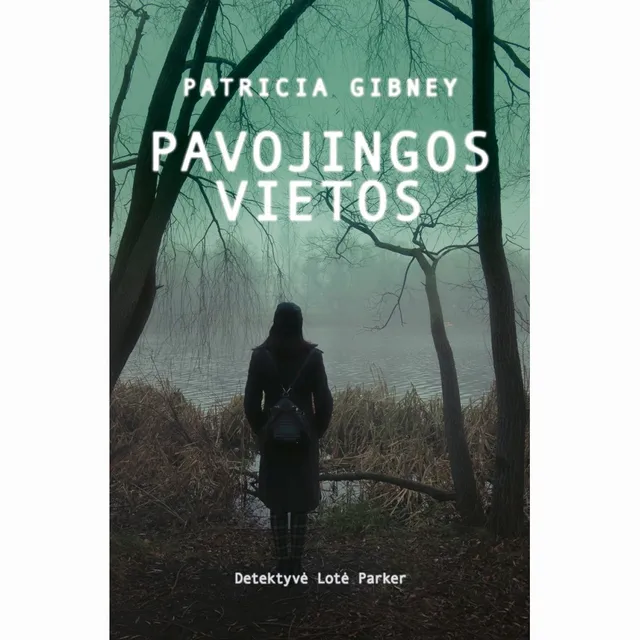 Knyga PAVOJINGOS VIETOS