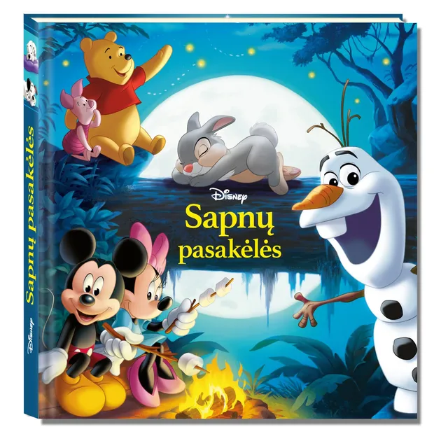 Knyga DISNEY. SAPNŲ PASAKĖLĖS