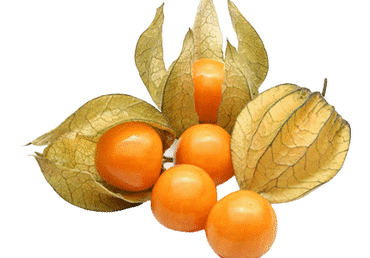Dumplūnės, 100 g