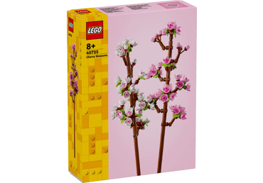 Konstruktorius LEGO VYŠNIŲ ŽIEDAI 40725, 1 vnt. 