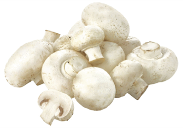 Pievagrybiai, 1 kg