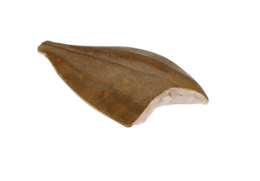 Atitirpintos paltusinės plekšnės, skrostos, 1 kg
