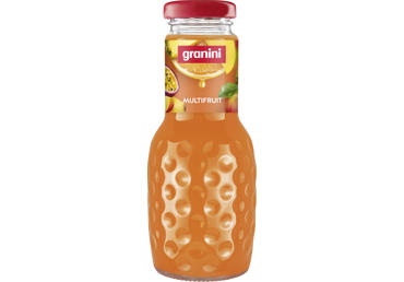 Įvairių vaisių nektaras GRANINI, 250 ml