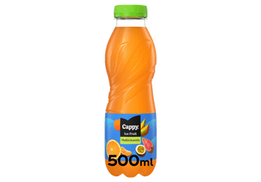 Įvairių vaisių gėrimas CAPPY ICE FRUIT, 500 ml