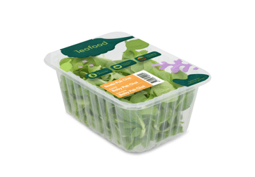 Salotos BABY PAK CHOI LEAFOOD, 70 g