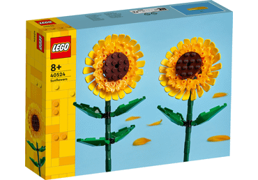 Konstruktorius LEGO SAULĖGRĄŽOS  