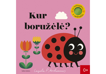 Knyga I. P. Arrhenius KUR BORUŽĖLĖ?, 1 vnt.