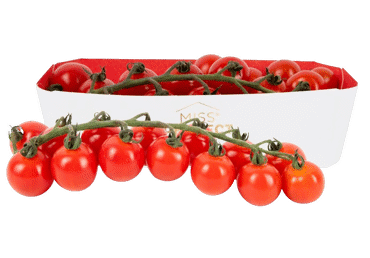 Smulkiavaisiai pomidorai su šakelėmis MIS PERFECT, 350 g