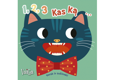 Knyga 1,2,3 KAS KĄ...PRARIS! VERSK IR SUŽINOK, 1 vnt.