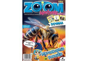 Žurnalas ZOOM NYKŠTUKAS, 1 vnt.