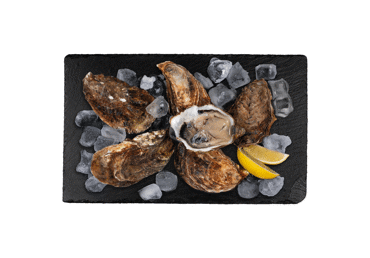 Fresh large oysters with shells, 1 pcs.