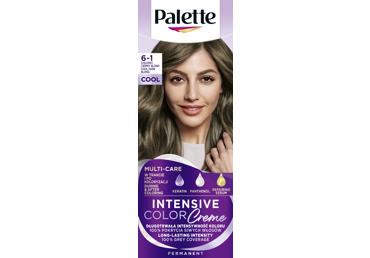 Plaukų dažai PALETTE ICC 6-1, 1 vnt.