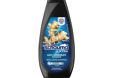 Мужской шампунь SCHAUMA Men Anti-Dandruff Intensive, 350 мл