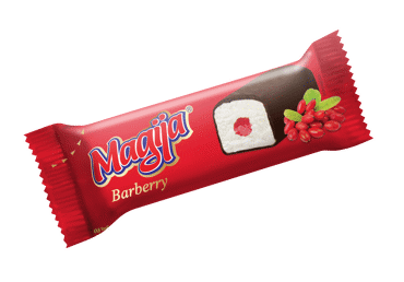 Творожный сыр MAGIJA с начинкой из облепихи, 20,7 % жира, 40 г