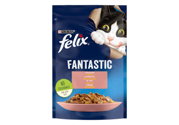 Kačių ėdalas FELIX FANTASTIC su lašiša, 85 g