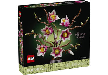 Konstruktorius LEGO Botanikos 11510