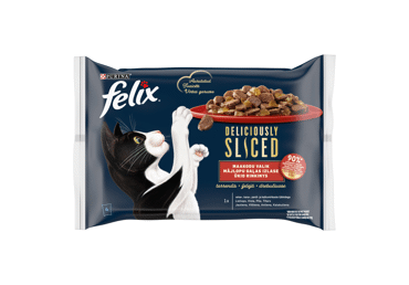 Kačių ėdalas FELIX drebučiuose su mėsa, 320 g