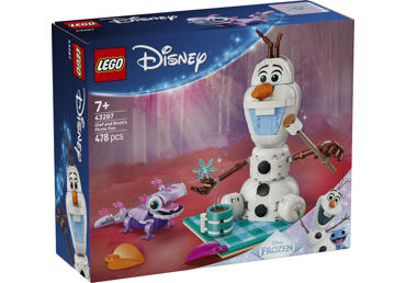 Konstruktorius LEGO Olaf & Bruni Piknikas 43287
