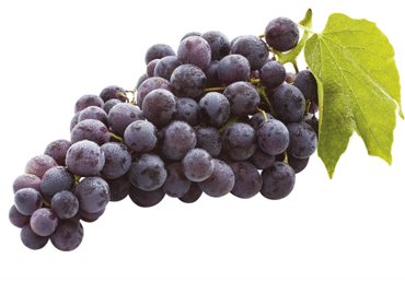 Mėlynosios besėklės vynuogės, 500 g