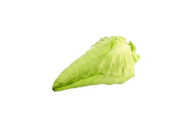 Kopūstas smailėjančia gūže, 1 vnt.