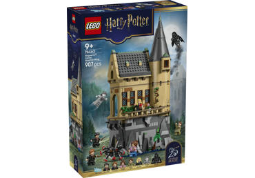 Konstruktorius LEGO Hogvartso Ligoninė 76463
