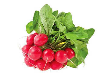 Red radishes in a bunch, 100 g