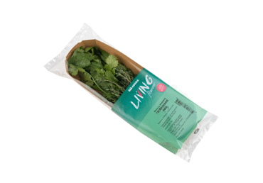 Žolelių rinkinys troškiniams gardinti, 15 g