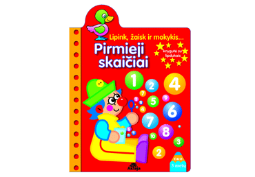 Knyga PIRMIEJI SKAIČIAI, 1 vnt.