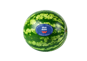 Besėkliai arbūzai WELL DONE, 1 kg