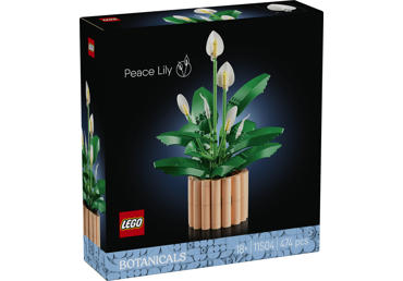 Konstruktorius LEGO Taikos Lelija 11504