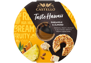 Kreminis sūris CASTELLO su ananasais, 24 % rieb. s. m., 125 g
