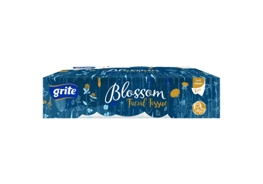 Kosmetinės servetėlės GRITE BLOSSOM (2 sluoksnių), 80 vnt.