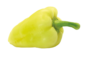 Baltos saldžiosios paprikos, 70-90 mm, 1 kg
