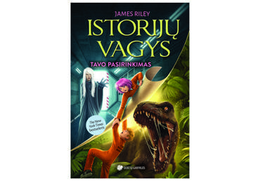 Knyga ISTORIJŲ VAGYS. TAVO PASIRINKIMAS