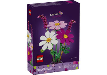 Konstruktorius LEGO KOSMĖJOS11514
