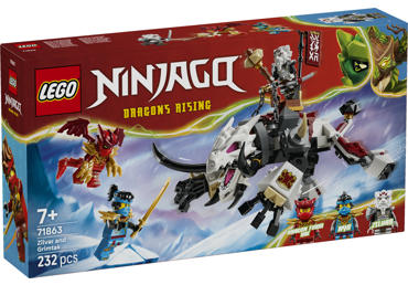 Konstruktorius LEGO Zilvar Ir Drakonas 71863