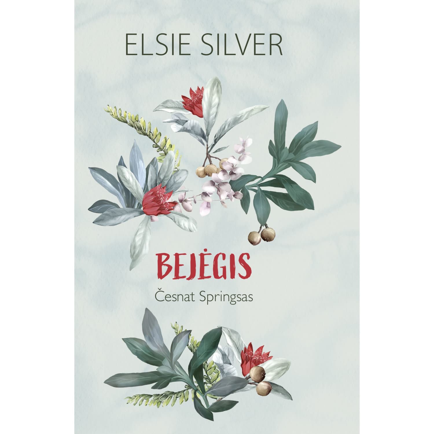 Knyga BEJĖGIS