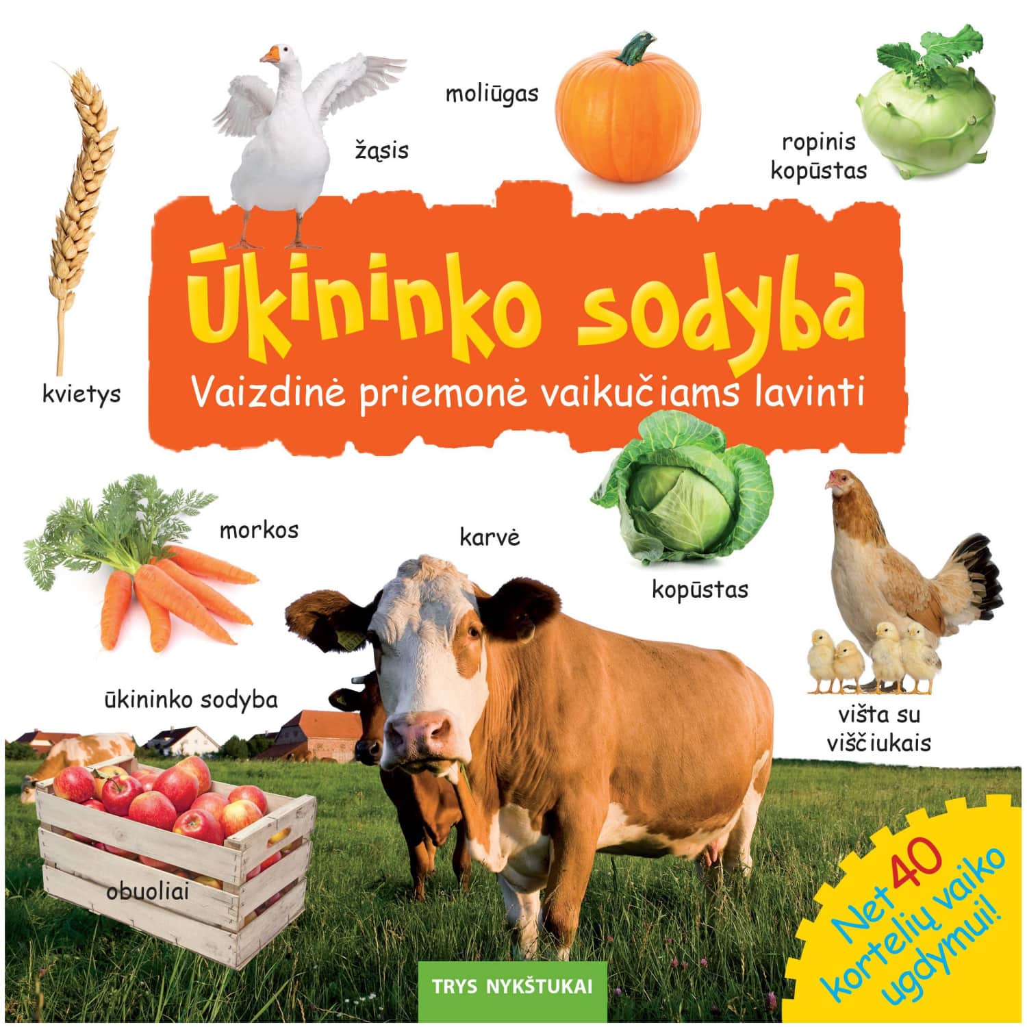 Knyga ŪKININ. SOD. VAIZD. PR. VAIK. LAV.