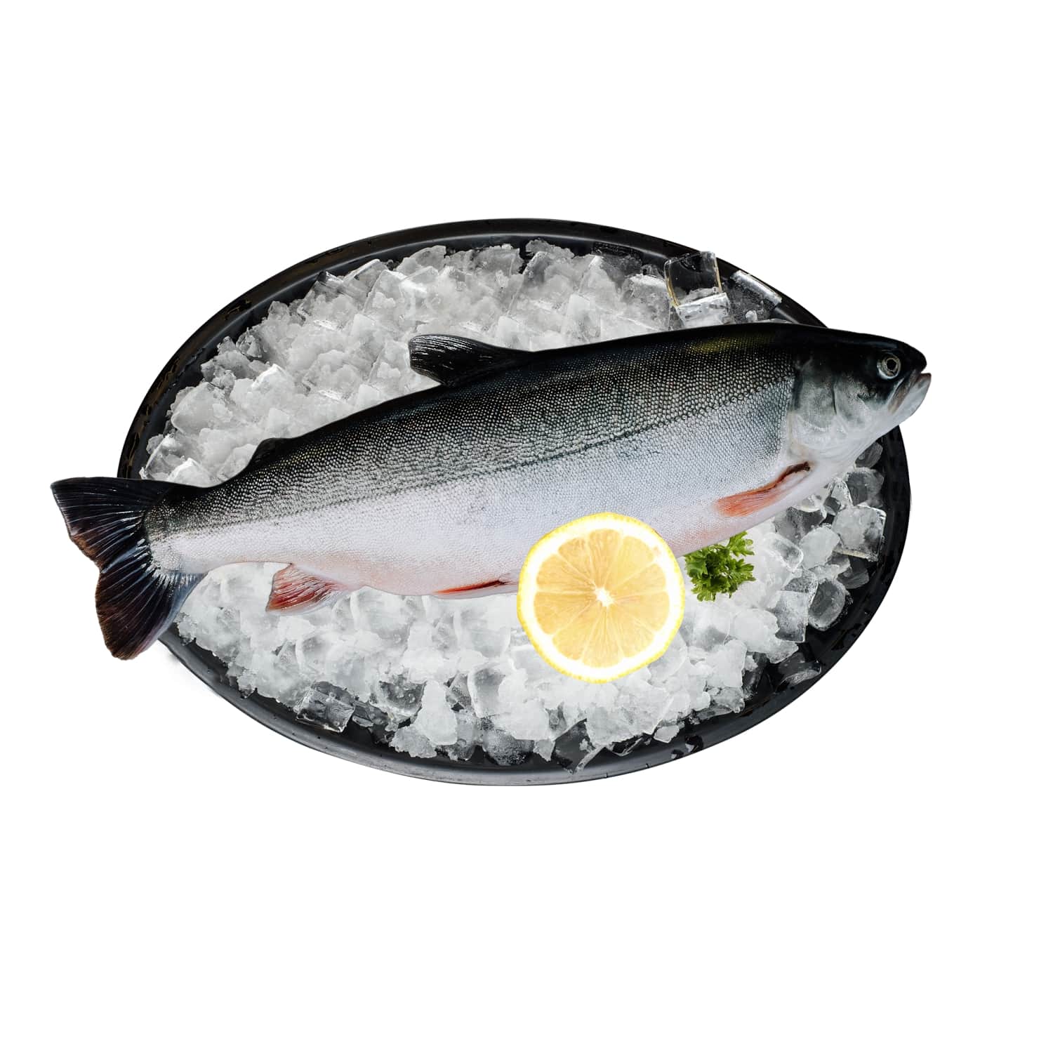 Arctic char, 1 kg