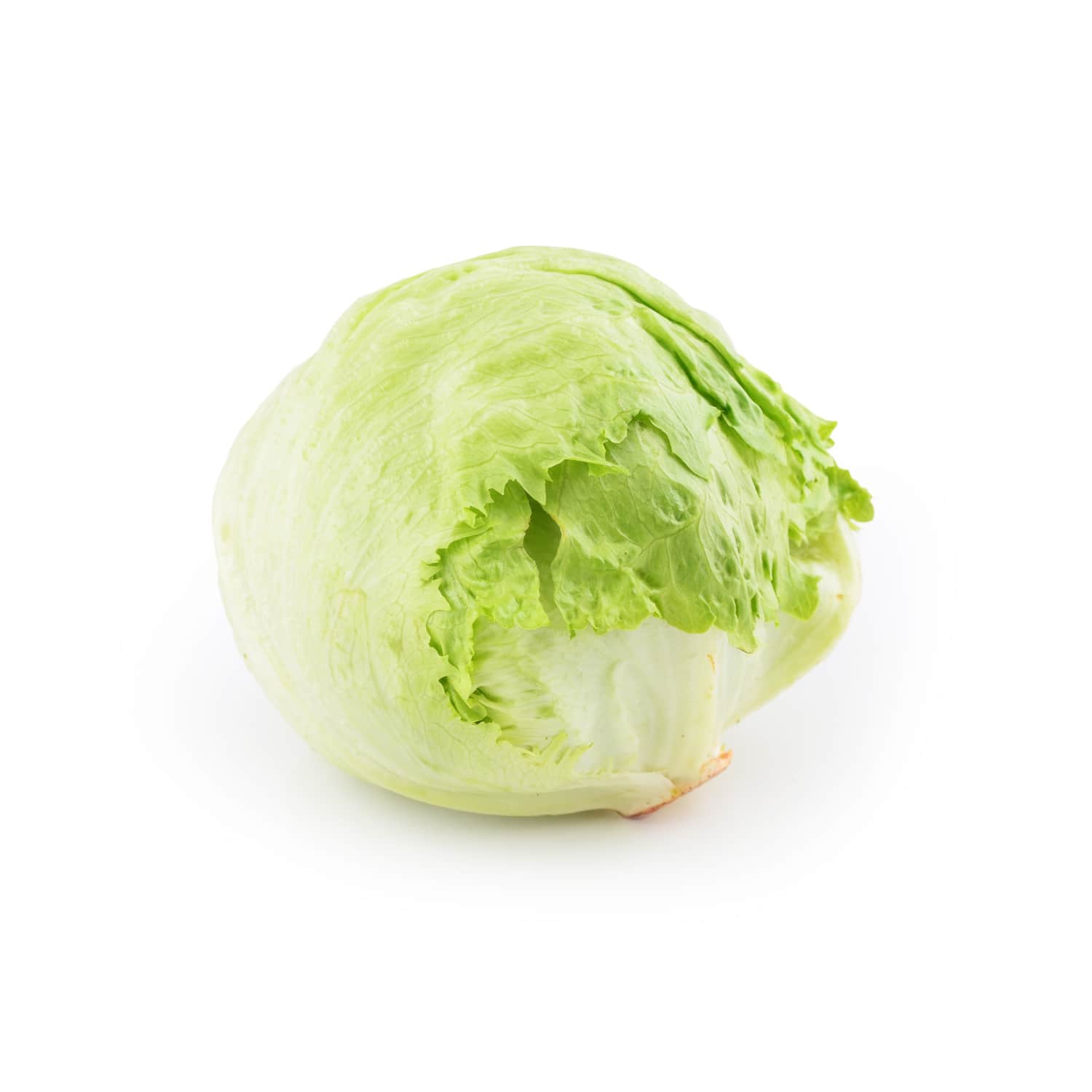 Salotos ICEBERG RIMI, 1 vnt.