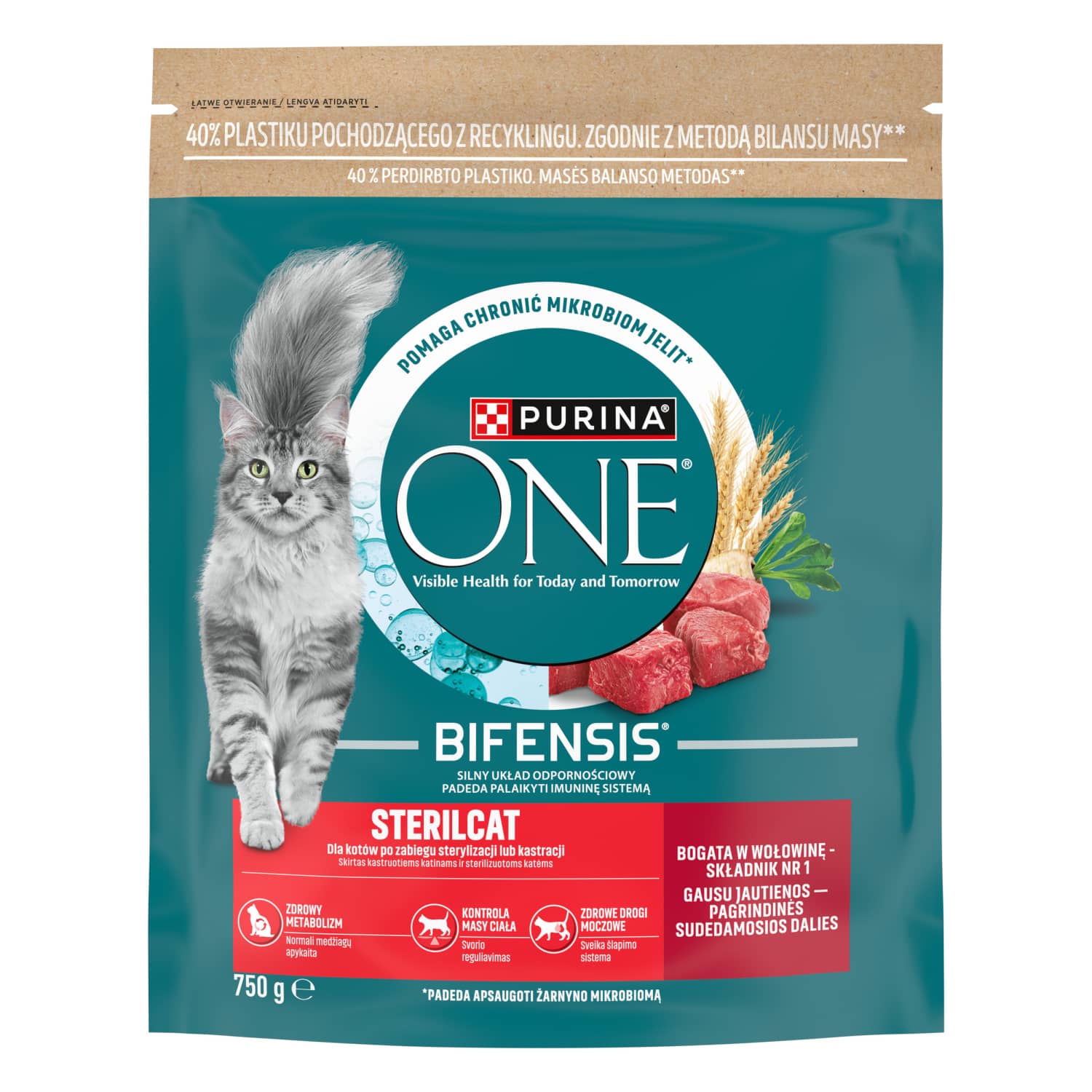 Cat food PURINA ONE with turkey, 750 g