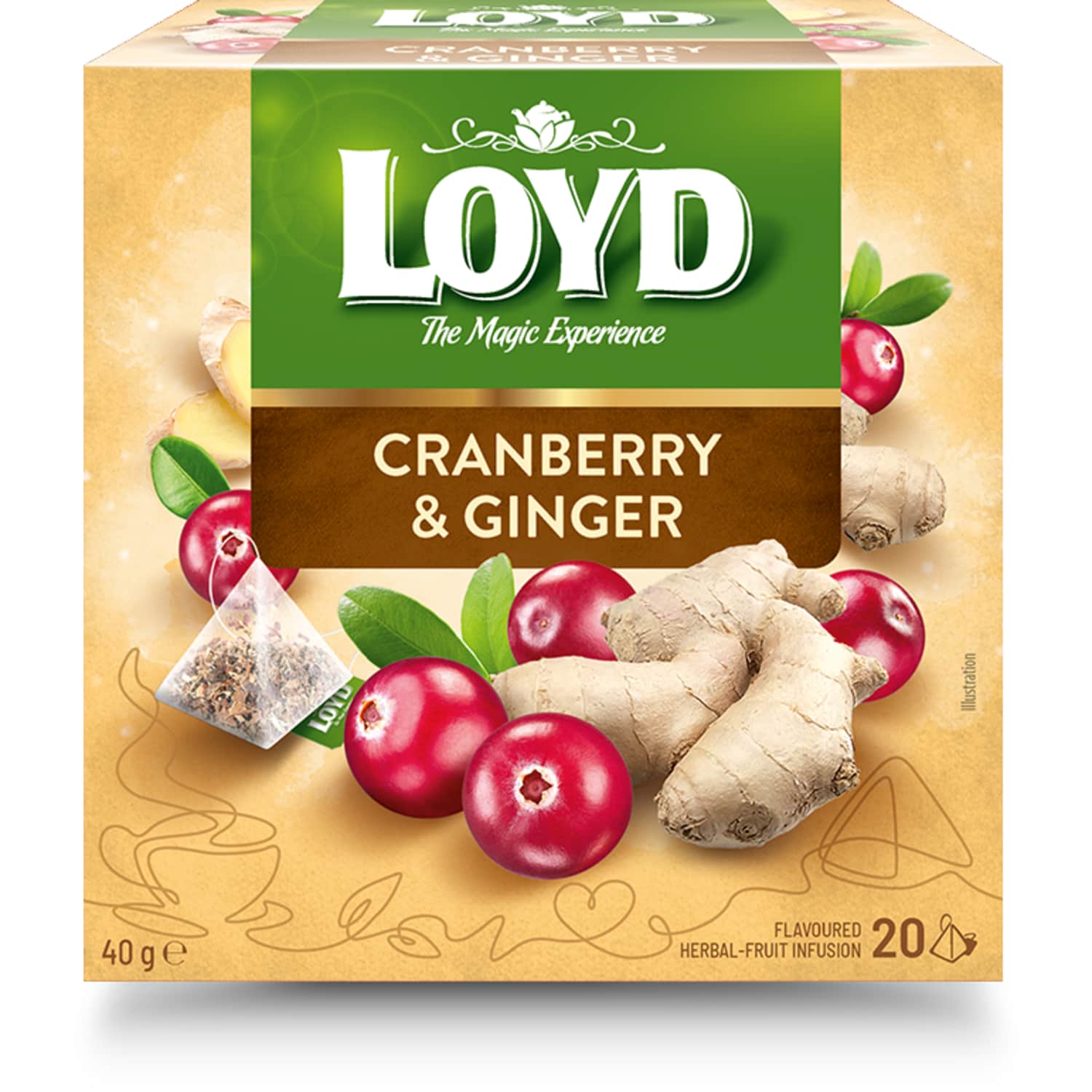 Fruit tea ginger - cranberry LOYD, 20 pcs.