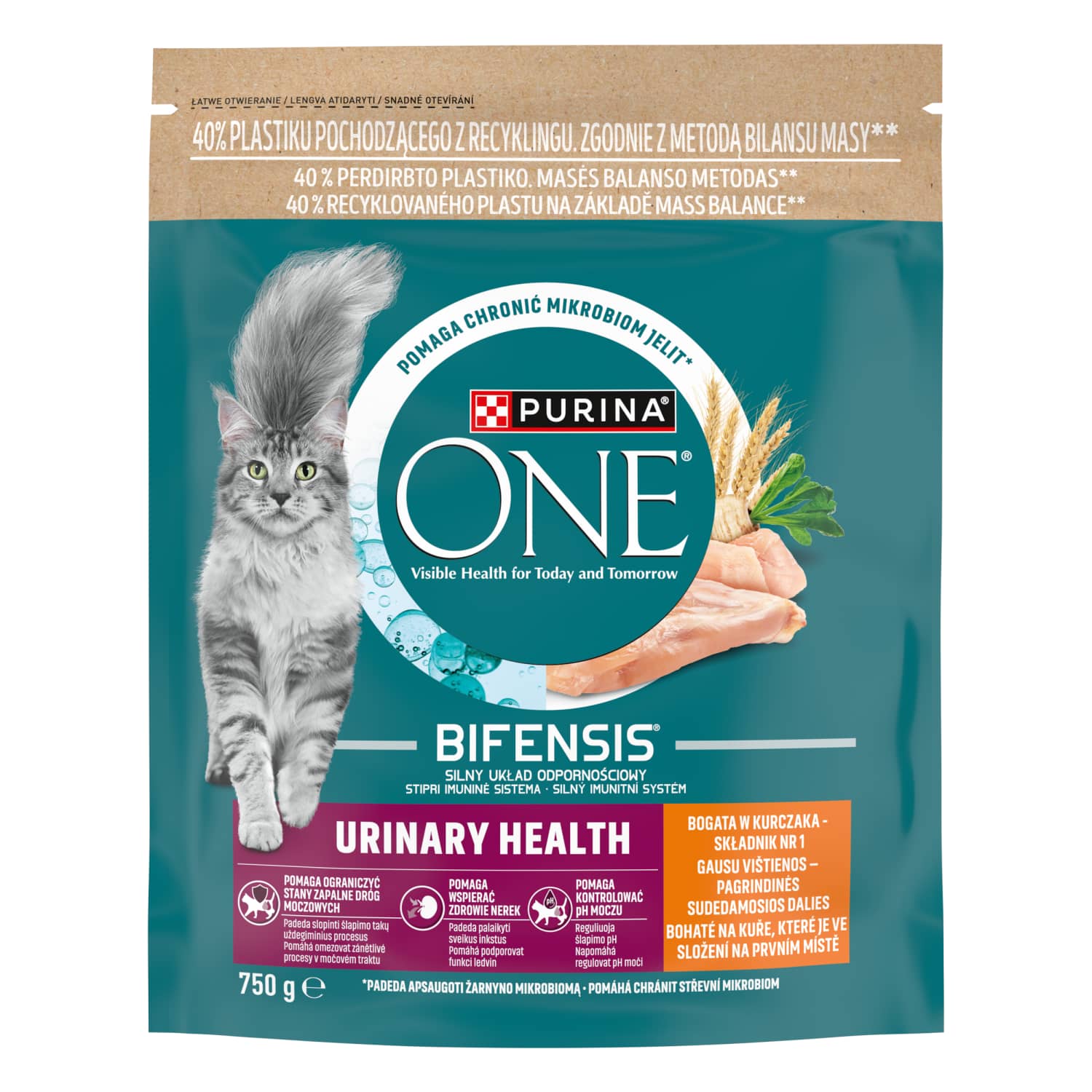 S. pašaras PURINA ONE katėms su višt., 750 g