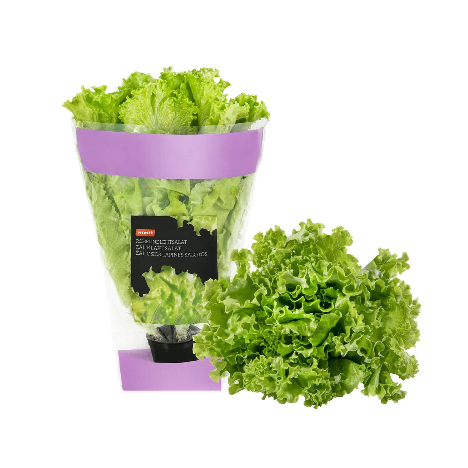Green leafy lettuce RIMI, 1 pcs